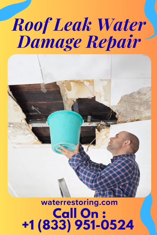 Roof Leak Water Damage Repair in Mapleton, UT